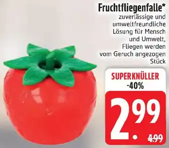 Edeka Fruchtfliegenfalle Angebot