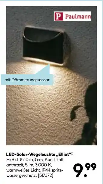 Hellweg Paulmann led-solar-wegeleuchte „elliot“ Angebot