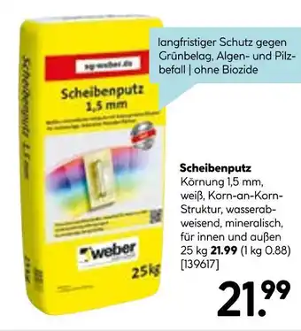 Hellweg Weber scheibenputz Angebot