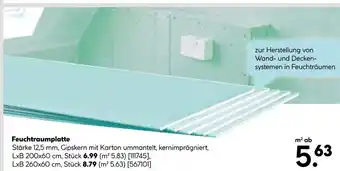 Hellweg Feuchtraumplatte Angebot