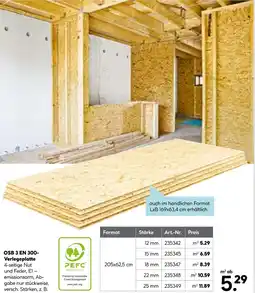 Hellweg Osb 3 en 300-verlegeplatte Angebot