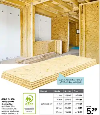 Hellweg Osb 3 en 300-verlegeplatte Angebot