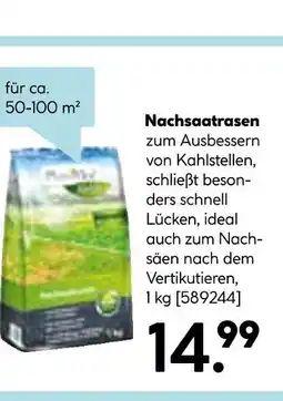 Hellweg Nachsaatrasen Angebot