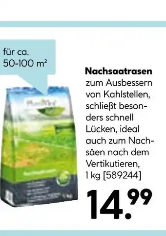Hellweg Nachsaatrasen Angebot