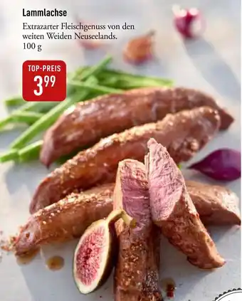 Galeria Markthalle Lammlachse Angebot