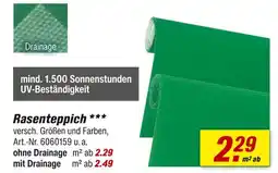 toom Baumarkt Rasenteppich Angebot