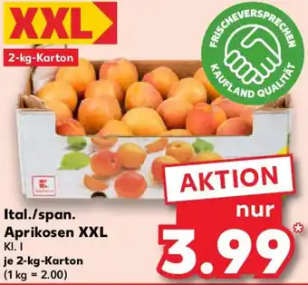 Kaufland Ital./span. Aprikosen XXL Angebot