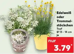 Kaufland Edelweiß oder Trommelstöckchen Angebot
