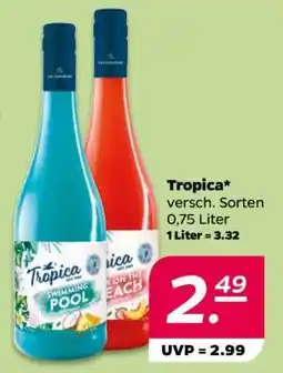 NETTO Tropica Angebot