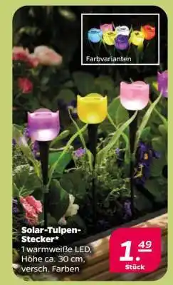 NETTO Solar-Tulpen-Stecker Angebot