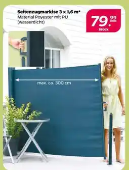 NETTO Seitenzugmarkise 3 x 1,6 m Angebot
