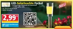 Norma LED-Solarleuchte Fackel Angebot