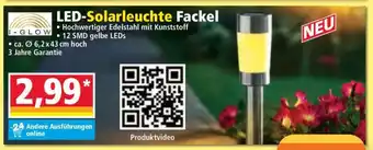 Norma LED-Solarleuchte Fackel Angebot
