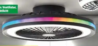 Hagebau LED-Deckenleuchte Palmero Angebot