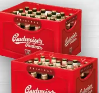 Handelshof Budweiser Budvar (CZ) Bier Angebot