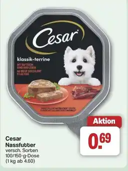 Famila Nord West Cesar Nassfutter Angebot