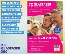 cosmophone T glasfaser 300 Angebot