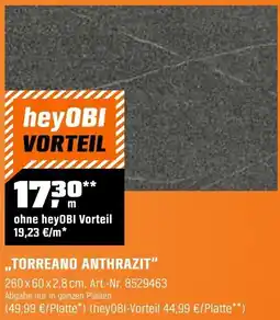 OBI Torreano anthrazit Angebot