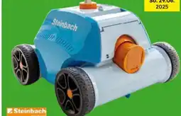 Globus Baumarkt Steinbach We are Pool Poolrunner Battery+ Angebot