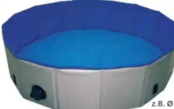 Globus Baumarkt Abdeckung Hundepool Angebot