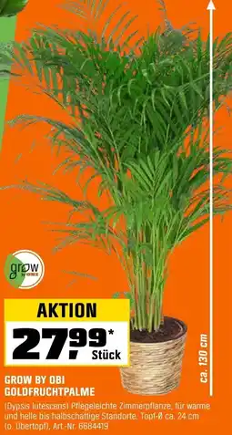 OBI Grow by obi goldfruchtpalme Angebot