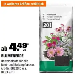 OBI Blumenerde Angebot