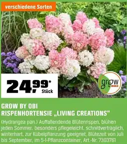 OBI Grow by obi rispenhortensie ,,living creations" Angebot