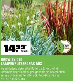 OBI Grow by obi lampenputzergras mix Angebot