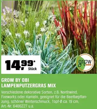 OBI Grow by obi lampenputzergras mix Angebot