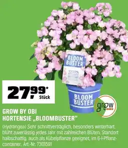 OBI Grow by obi hortensie ,,bloombuster" Angebot