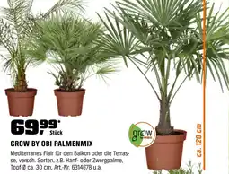 OBI Grow by obi palmenmix Angebot
