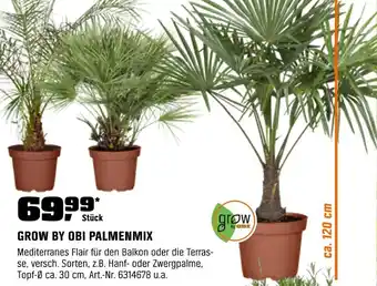 OBI Grow by obi palmenmix Angebot