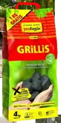 OBI Profagus buchen grill-holzohlebriketts ,,grillis" Angebot