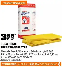 OBI Ursa home trennwandplatte Angebot