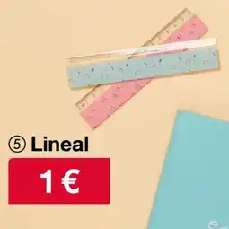 Woolworth Lineal Angebot
