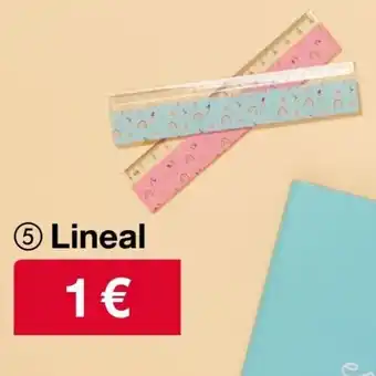 Woolworth Lineal Angebot