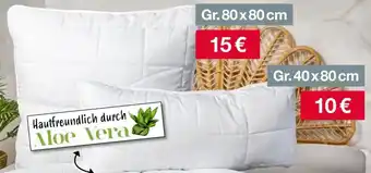 Woolworth Aloe Vera Kopfkissen Angebot