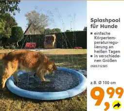 Globus Baumarkt Splashpool für Hunde Angebot