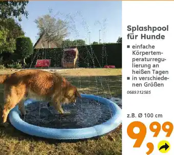 Globus Baumarkt Splashpool für Hunde Angebot