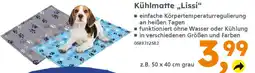 Globus Baumarkt Kühlmatte ,,Lissi❝ Angebot
