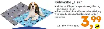 Globus Baumarkt Kühlmatte ,,Lissi❝ Angebot