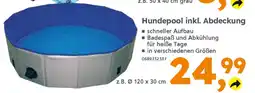 Globus Baumarkt Hundepool inkl. Abdeckung Angebot