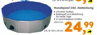 Globus Baumarkt Hundepool inkl. Abdeckung Angebot