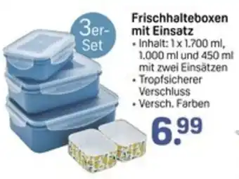 Rossmann Frischhalteboxen mit Einsatz 3er- Set Angebot