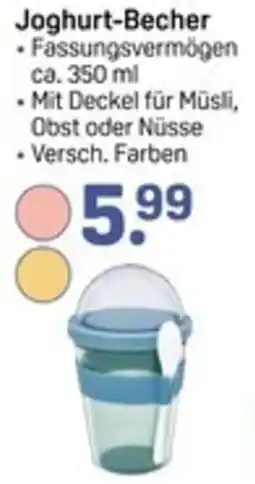 Rossmann Joghurt-Becher Angebot