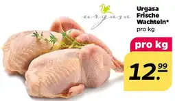 NETTO Urgasa Frische Wachteln Angebot
