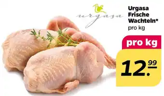 NETTO Urgasa Frische Wachteln Angebot