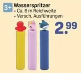 Rossmann Wasserspritzer Angebot