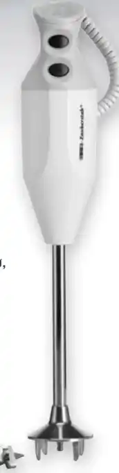 Handelshof Esge Zauberstab Stabmixer P 200 Profi Angebot