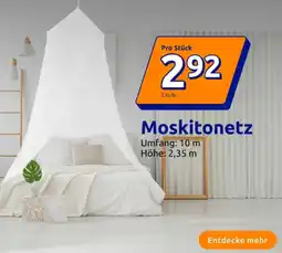 Action Moskitonetz Angebot